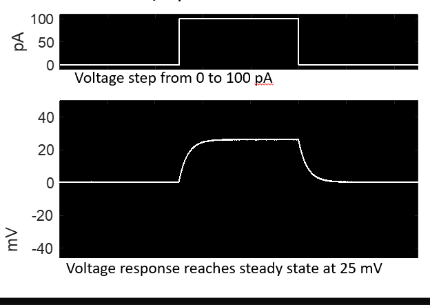 <ul><li><p>inserting a voltage into an axon will give a response </p></li><li><p>ohms law states that V=IR where current is in amps and R is in ohms </p></li><li><p>once the threshold for activation is reached an action potential is formed which is an active property of an action potential </p></li></ul><p></p>