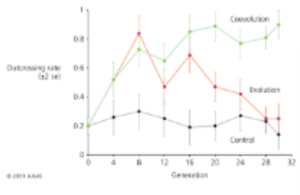 <p><span style="color: #000000">This graph shows outcrossing rates in a roundworm under different laboratory conditions: Control (constant and favorable environment, no pathogens), Evolution (initial change in the abiotic</span><span style="color: #000000"><br></span><span style="color: #000000">environment, followed by a constant environment, no pathogens), and Coevolution (pathogen present). Which concepts are demonstrated in this graph?</span><span style="color: #000000"><br></span><span style="color: #000000">A. Sexual reproduction facilitates adaptation to changes in</span><span style="color: #000000"><br></span><span style="color: #000000">environmental conditions</span><span style="color: #000000"><br></span><span style="color: #000000">B. Asexual reproduction is favored when the environment is stable</span><span style="color: #000000"><br></span><span style="color: #000000">and pathogens are absent</span><span style="color: #000000"><br></span><span style="color: #000000">C. Sexual reproduction allows organisms to constantly evolve in</span><span style="color: #000000"><br></span><span style="color: #000000">response to pathogens</span></p><p><span style="color: #000000">D. A&amp;C</span><span style="color: #000000"><br></span><span style="color: #000000">E. All of these</span></p>