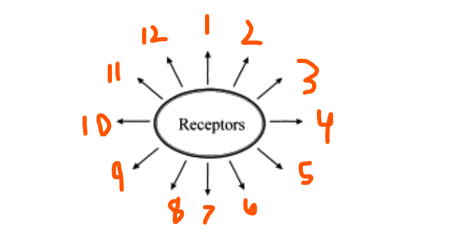 <p>Signal Response:</p><p>12 Examples:</p><ol><li><p>___ </p></li><li><p>___ ___</p></li><li><p>___ </p></li><li><p>___ </p></li><li><p>___-___ ___</p></li><li><p>___ </p></li><li><p>___ </p></li><li><p>___ ___</p></li><li><p>___ </p></li><li><p>___ </p></li><li><p>___ ___</p></li><li><p>___</p></li></ol><p></p>