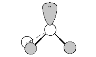 <p>list name, number of atoms bonded to central atom, lone pairs of e<sup>-</sup> on the central atom, bond angle, hybrid orbitals</p>