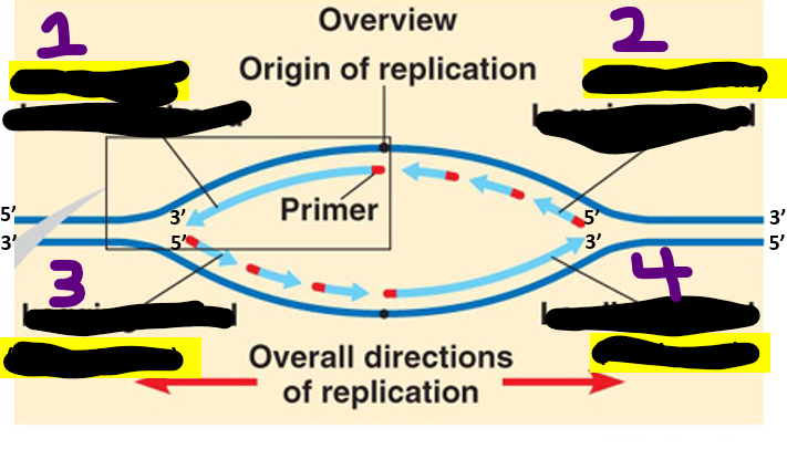 <p>Label</p>