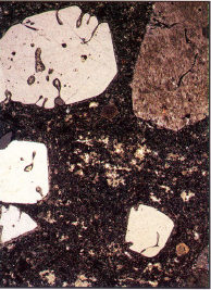 term image