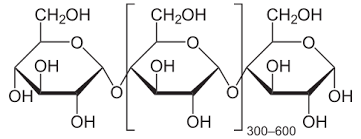 <p>glucose with alpha 1,4 linkage</p><p></p>