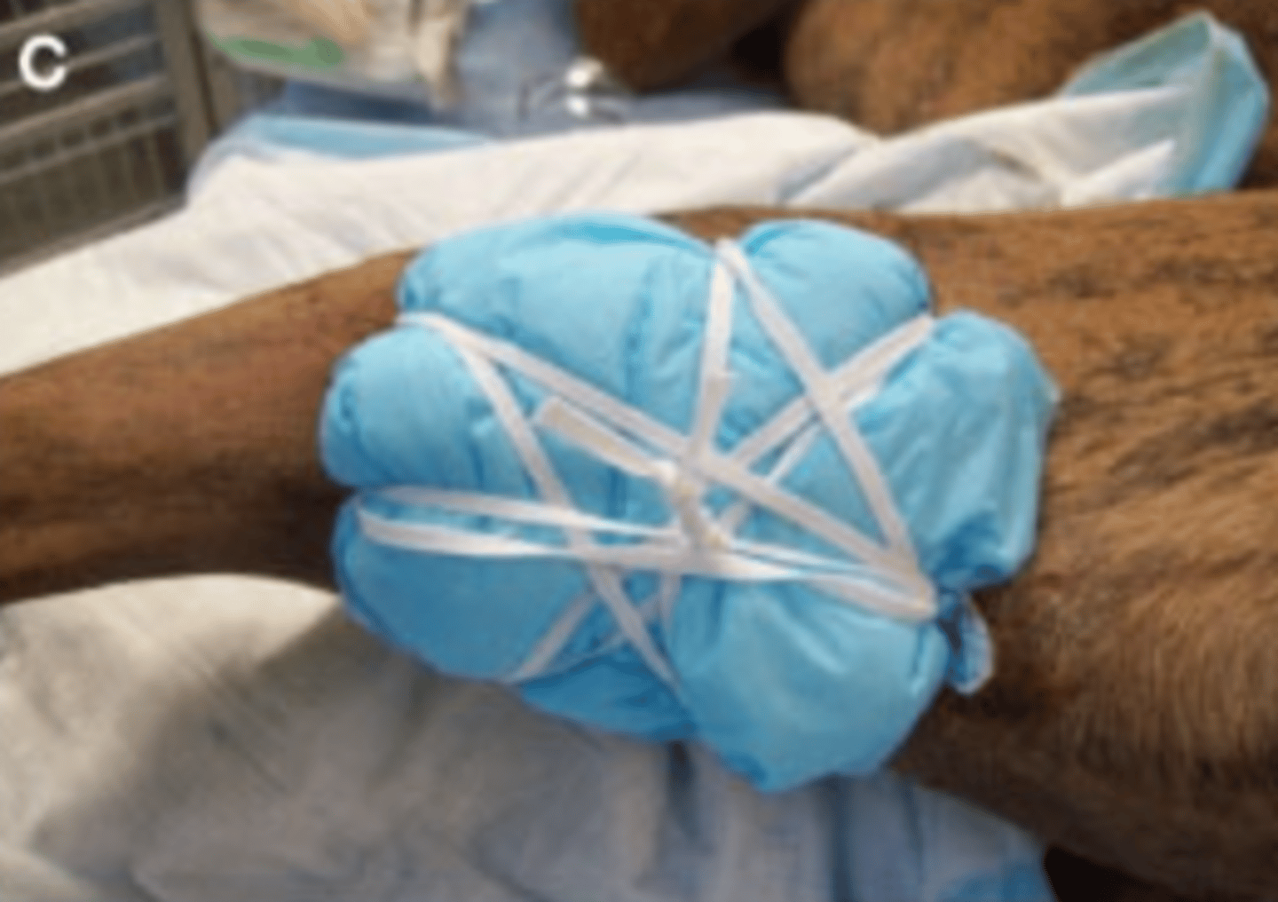 <p>Identify locations where tie-over bandages are commonly applied</p>