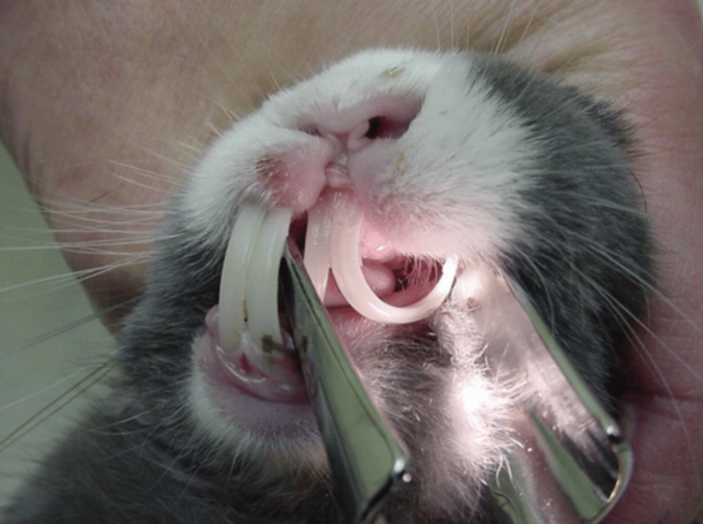 <p>What is being shown here?</p>