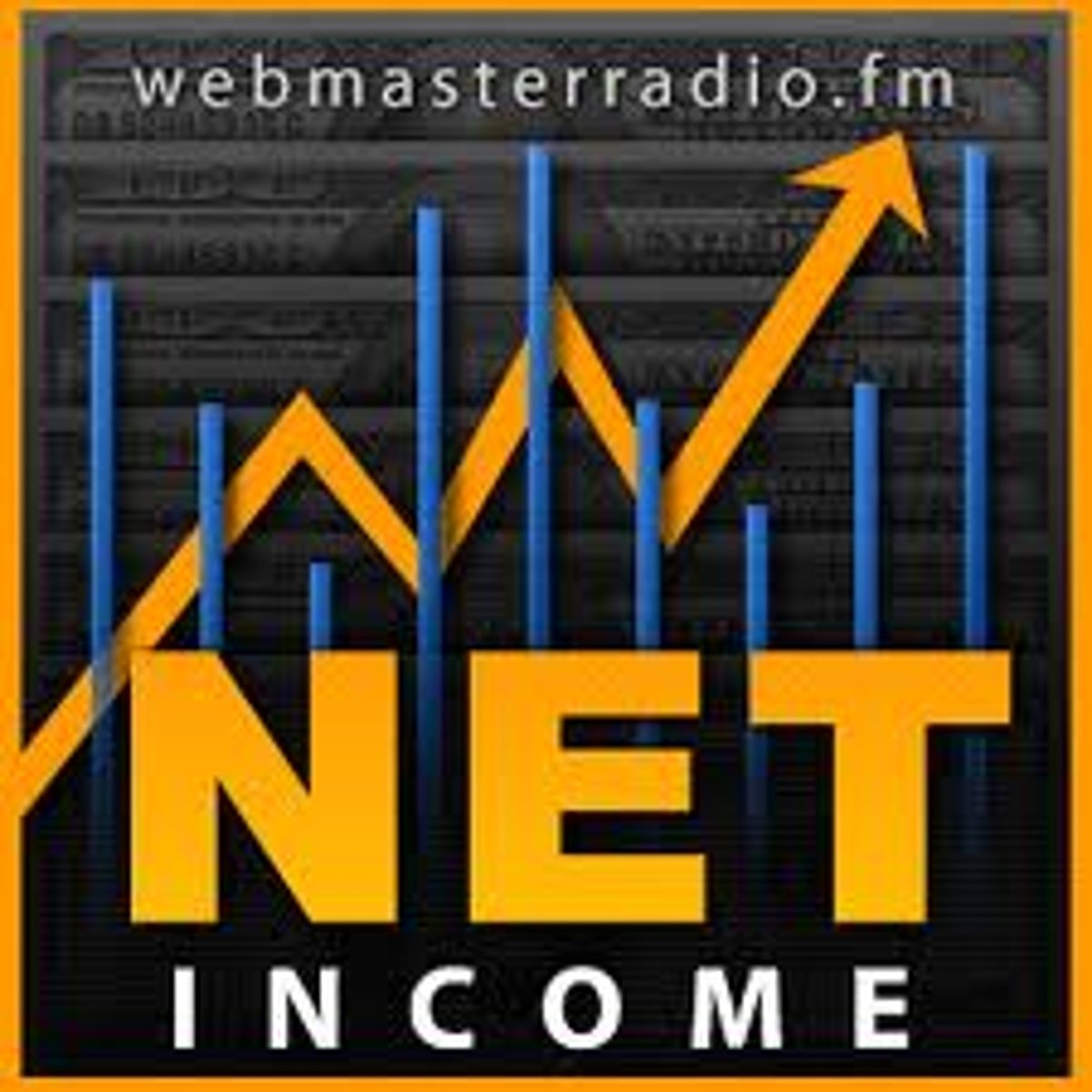<p>the difference between total revenue and total expenses when total revenue is greater.(a company's or individual's profit after all expenses and deductions are subtracted from their total revenue)</p>