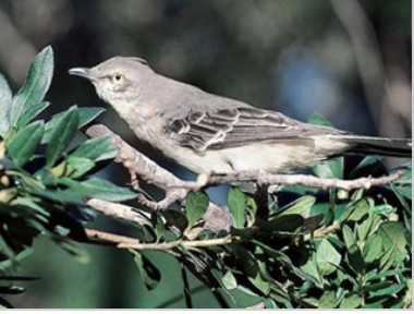 <p>What is this?</p>