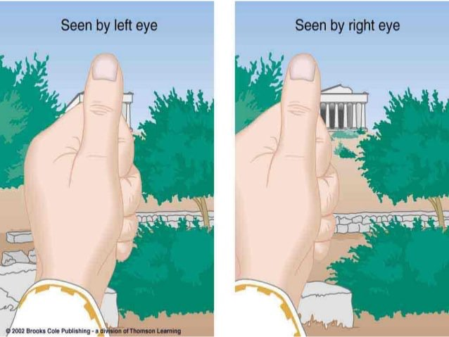 <p>Objects with 25ft. project images to different locations on the right and left Retinas. (Different views of an Object).</p>