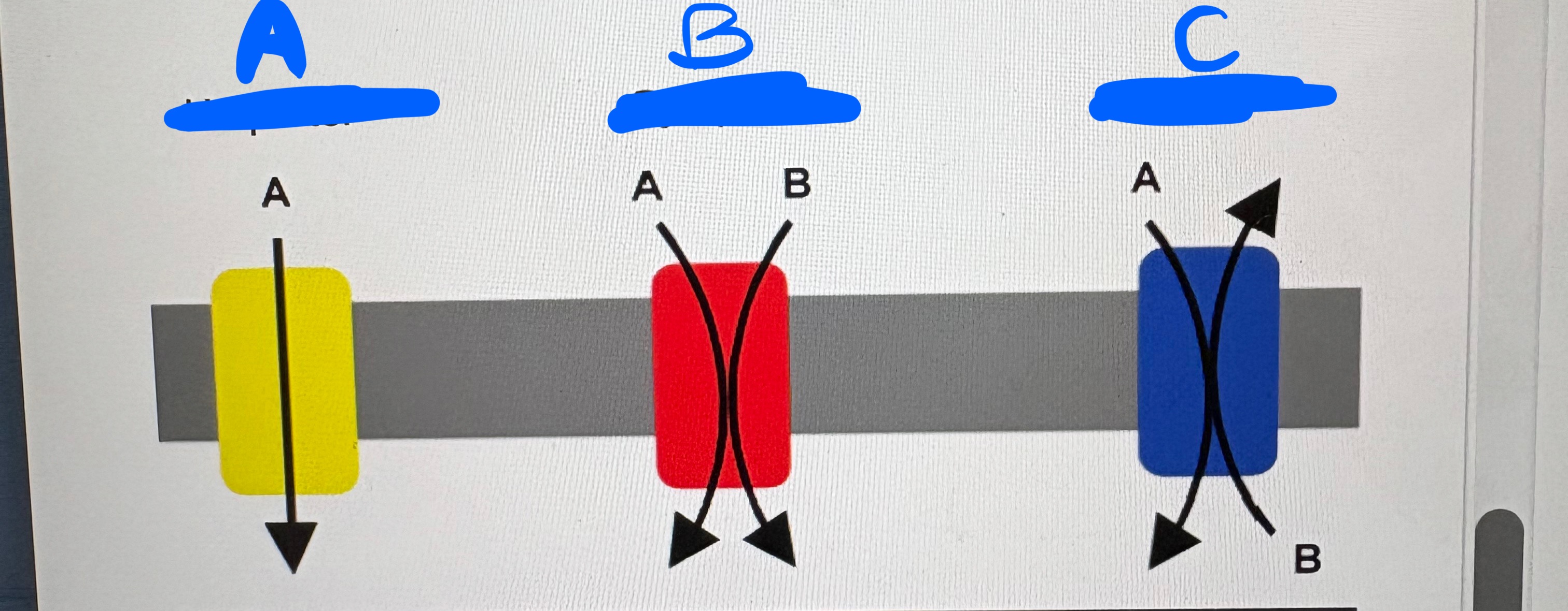 <p>what kind of transport is A, B, and C?</p>
