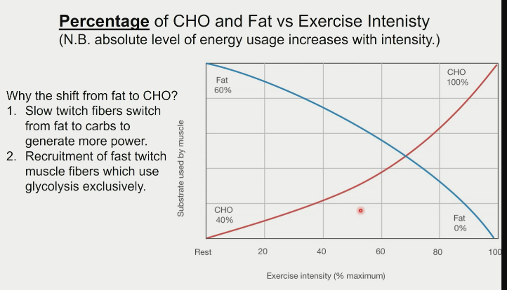 \- absolute level of energy usage increases with intensity

\
why the shift from fat to CHO?

1\. slow twitch fibers switch from fat to carbs to generate more power

2\. recruitment of fast twitch muscle fibers which use glycolysis exclusively