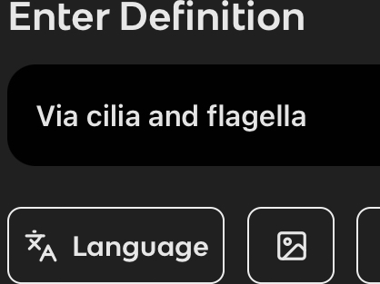 knowt flashcard image