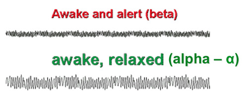 awake and alert waves