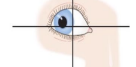 <p>abduction</p><p>-engages one eye at a time </p><p>-CN VI</p>