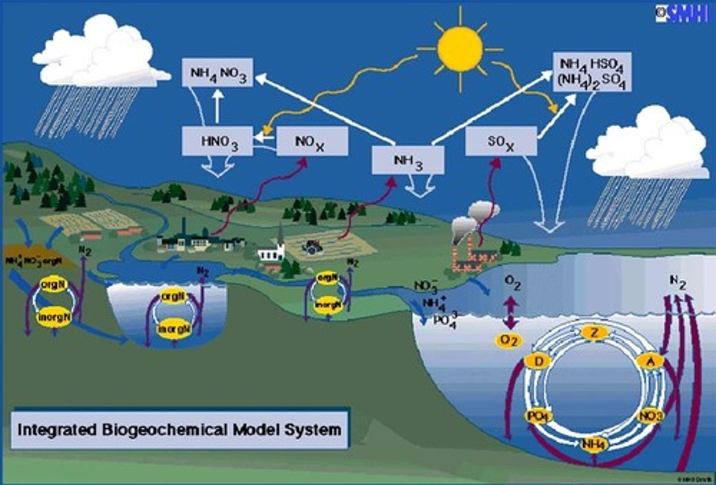 <p>cycling of matter through a Earth's systems; follows movement of matter between all 4 spheres</p>