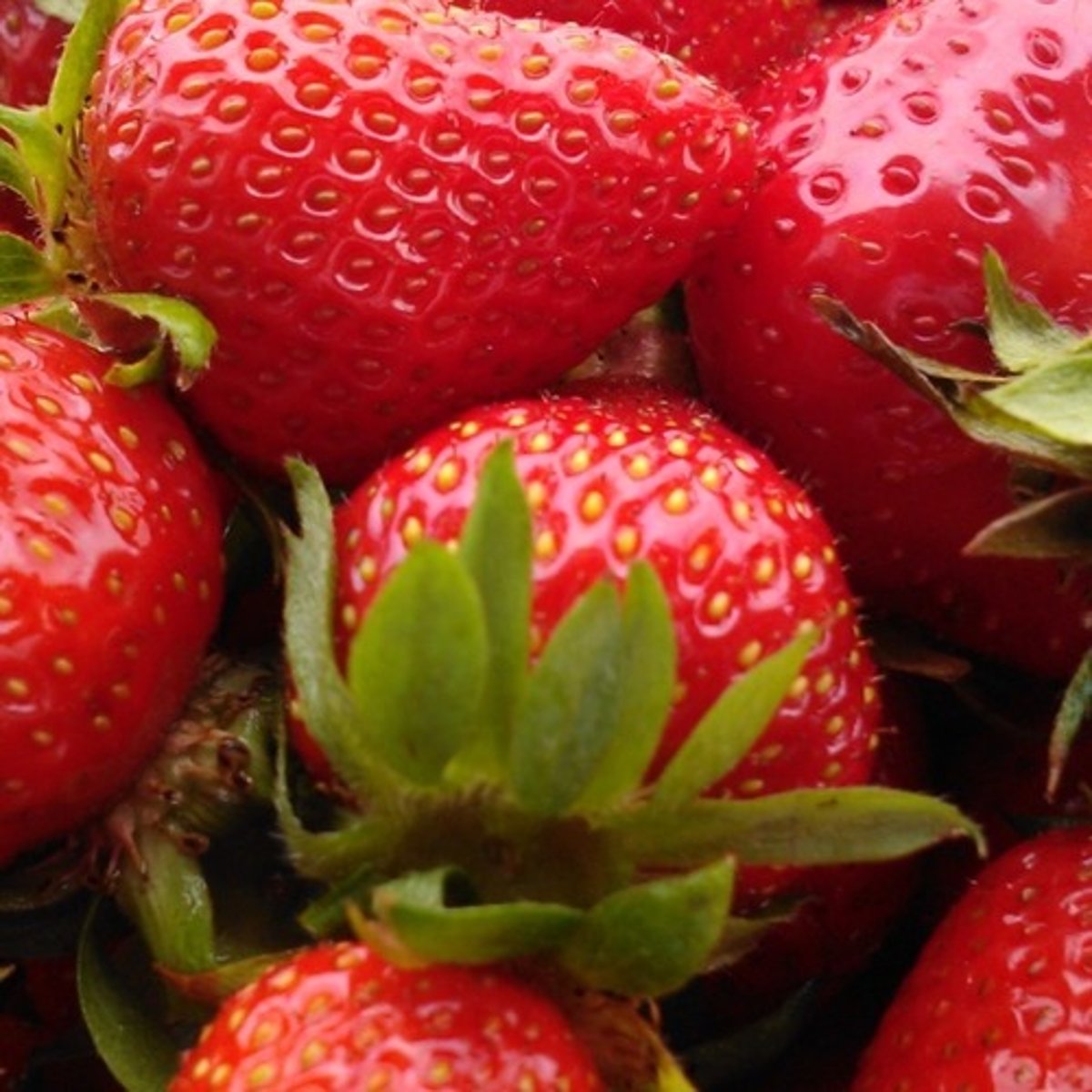 <p>strawberry</p>