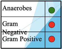 <ul><li><p>MOA: interacts w/ bacterial DNA → helical structure loss and strand breakage</p></li><li><p>G± anaerobes, parasites</p></li><li><p>Uses: C. diff, intra-abdominal combination, STI</p></li><li><p>Side effects: HA, nausea/vomiting, disulfiram-like rxn w/ ethanol</p></li></ul><p></p>