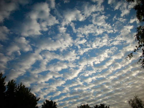 <p>Banco o manto o capa de nubes grises, o a la vez blancas y grises, que tienen, generalmente sombras propias, compuestas de losetas, guijarros, rodillos, etc., de aspecto, a veces, parcialmente fibroso o difuso, soldados o no; la mayoría de los pequeños elementos que están dispuestos regularmente tienen, por lo general, un diámetro comprendido entre 1 y 5°.</p>