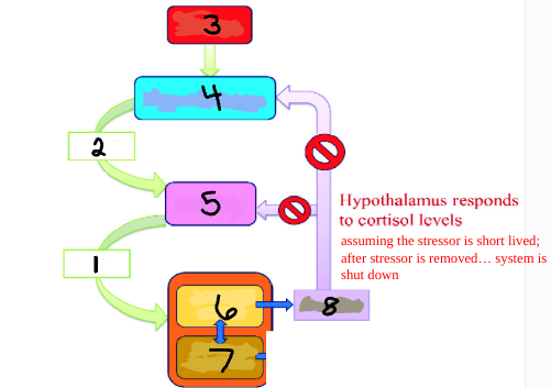 <p>6</p>
