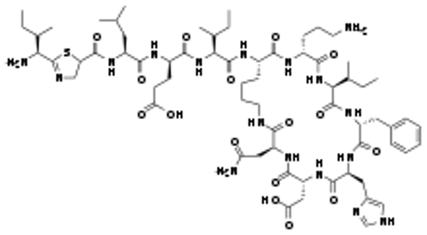 <p>inhibits peptidoglycan synthesis at a late stage</p>