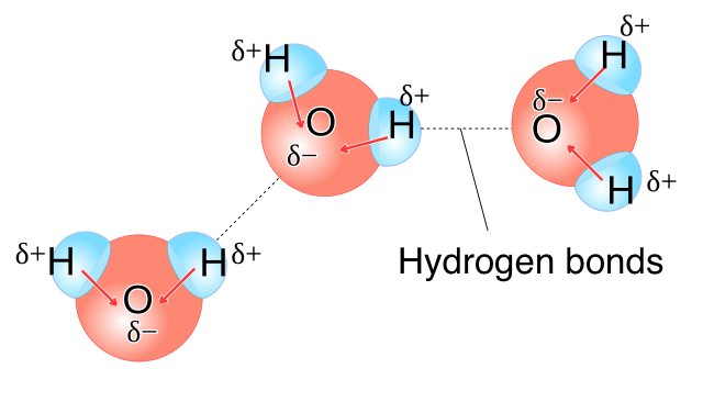 <p><strong>Water Properties</strong></p><p>Why is water polar?</p><p>How does the fact of it being polar change things</p>