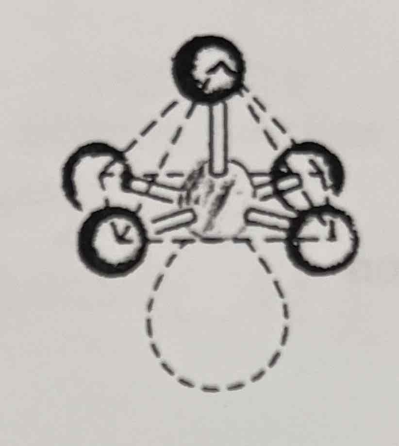 <p>Square Pyramid</p>