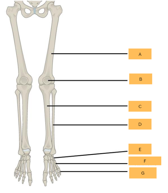 <p>What is C?</p>