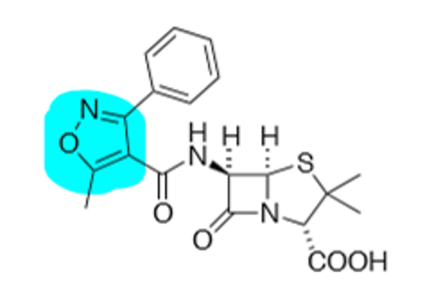 <p>B-Lactamase Resistant, injected</p>