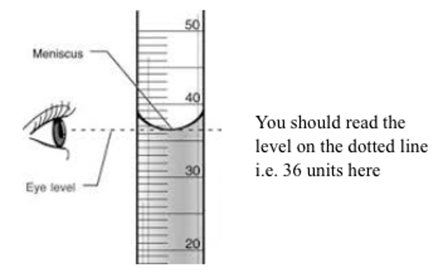 <p>the bottom of the meniscus</p>