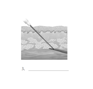 <p>3</p>