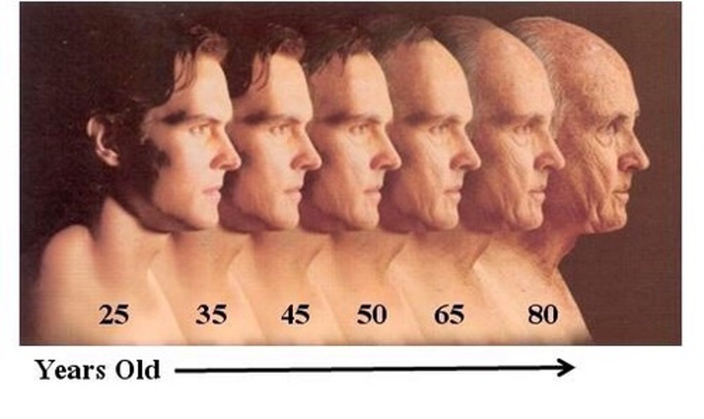 <p>research in which the same people are restudied and retested over a long period</p>