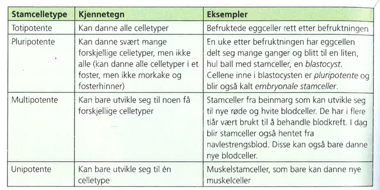 <p>Totipotente, pluripotente, multipotente og unipotente stamceller</p>