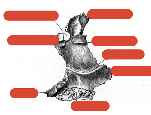 <p>label this diagram </p>
