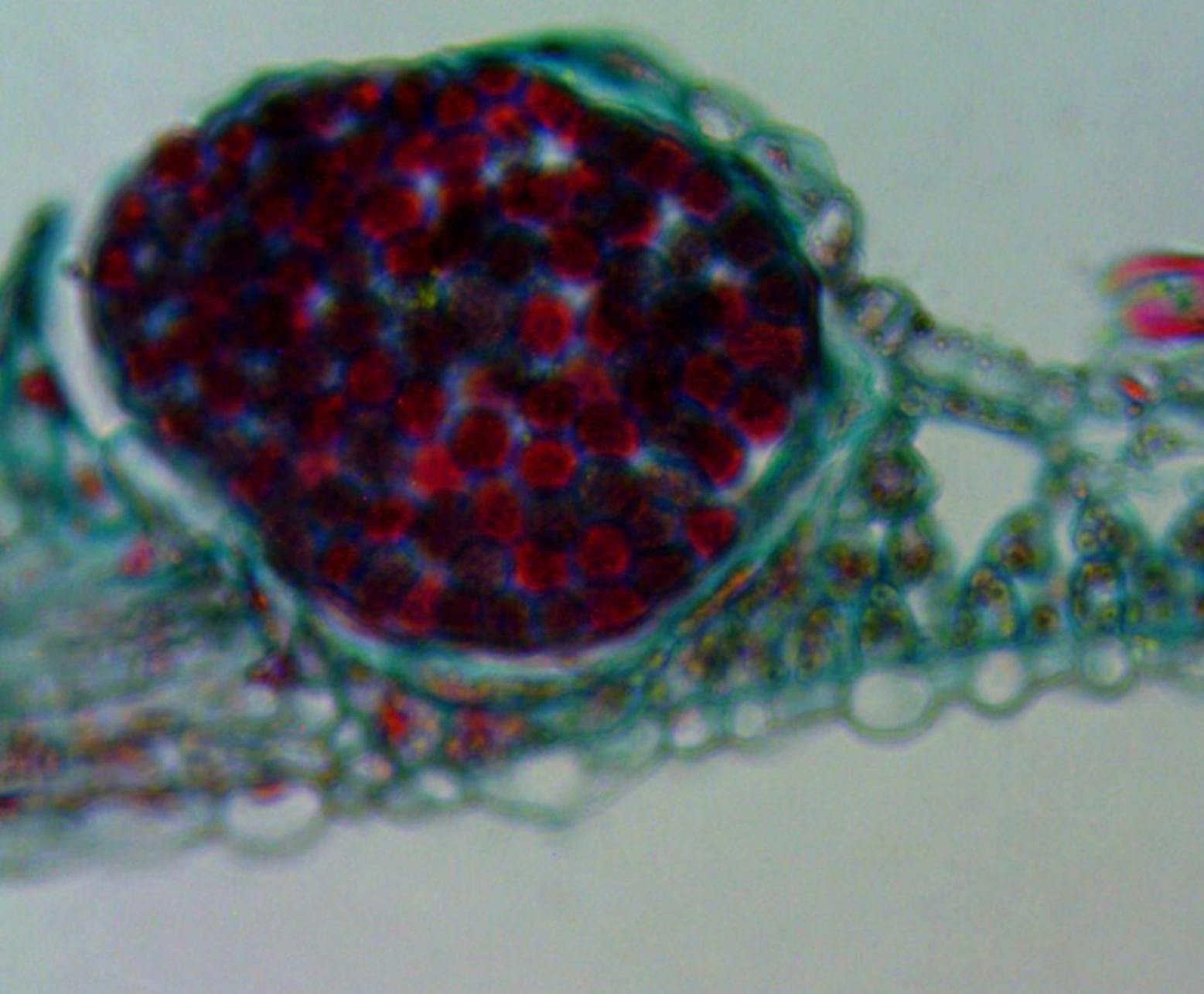 <p>What is this structure and what is happening </p>