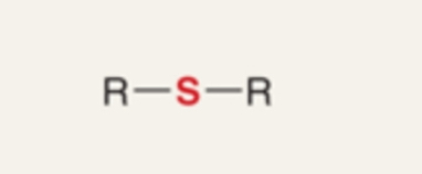 <p>Compound in which sulfur links two carbon groups (R–S–R).</p>