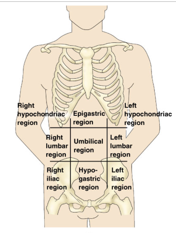 * MEMORIZE REGIONS
* READ AND WRITE