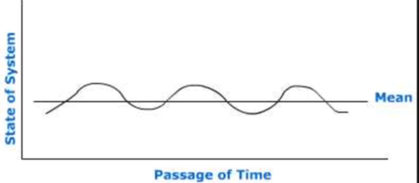 <p>The condition of an open system in which there are no changes over the longer term, but in which there may be oscillations in the very short term. There are continuing inputs and outputs of matter and energy, but the system as a whole remains in a more or less constant state.</p>