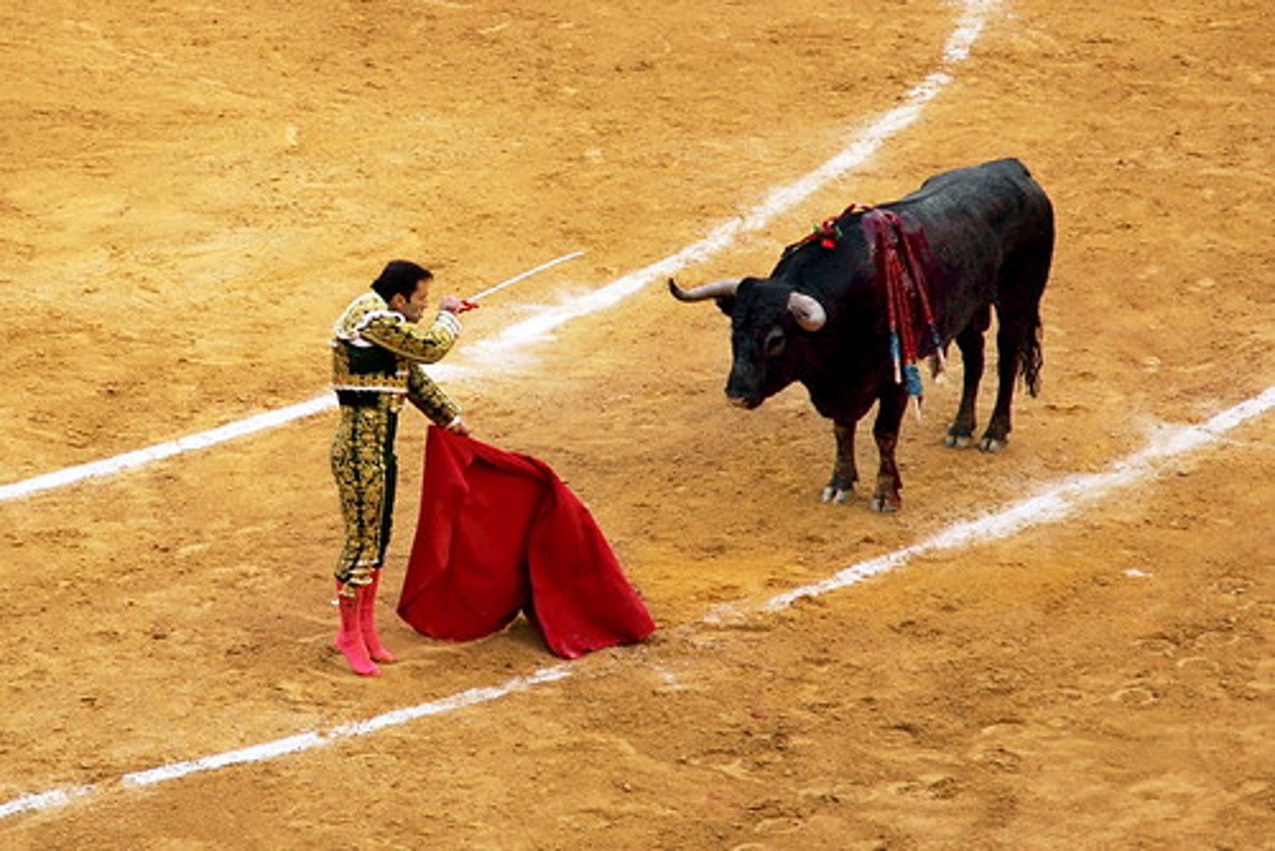 <p>la capa usado en el tercio de muerte</p><p>- roja</p>