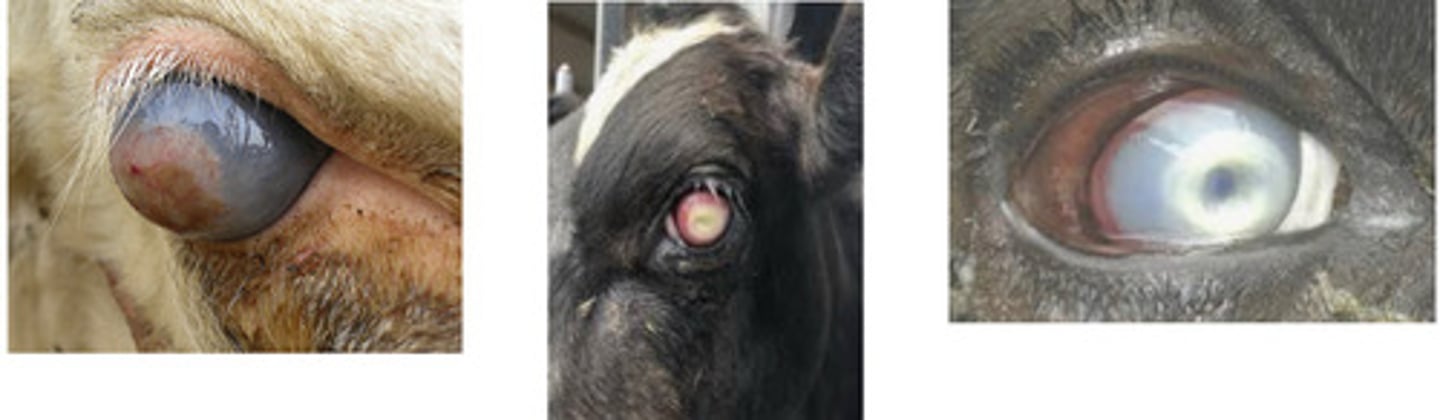 <p>What is happening here?</p>