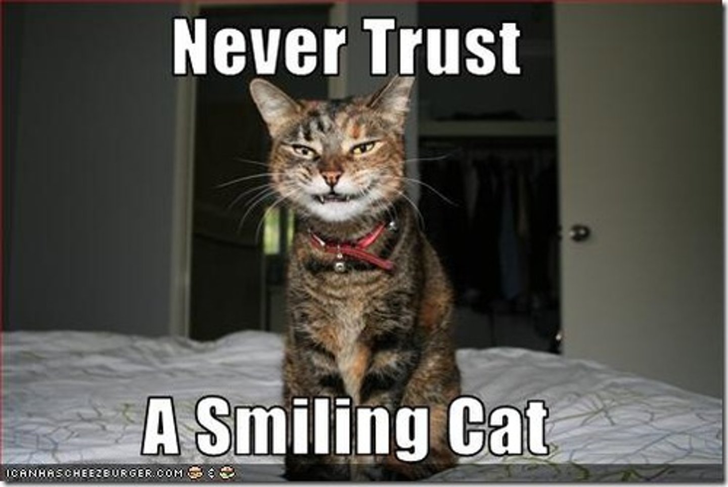 <p>to mistrust</p>