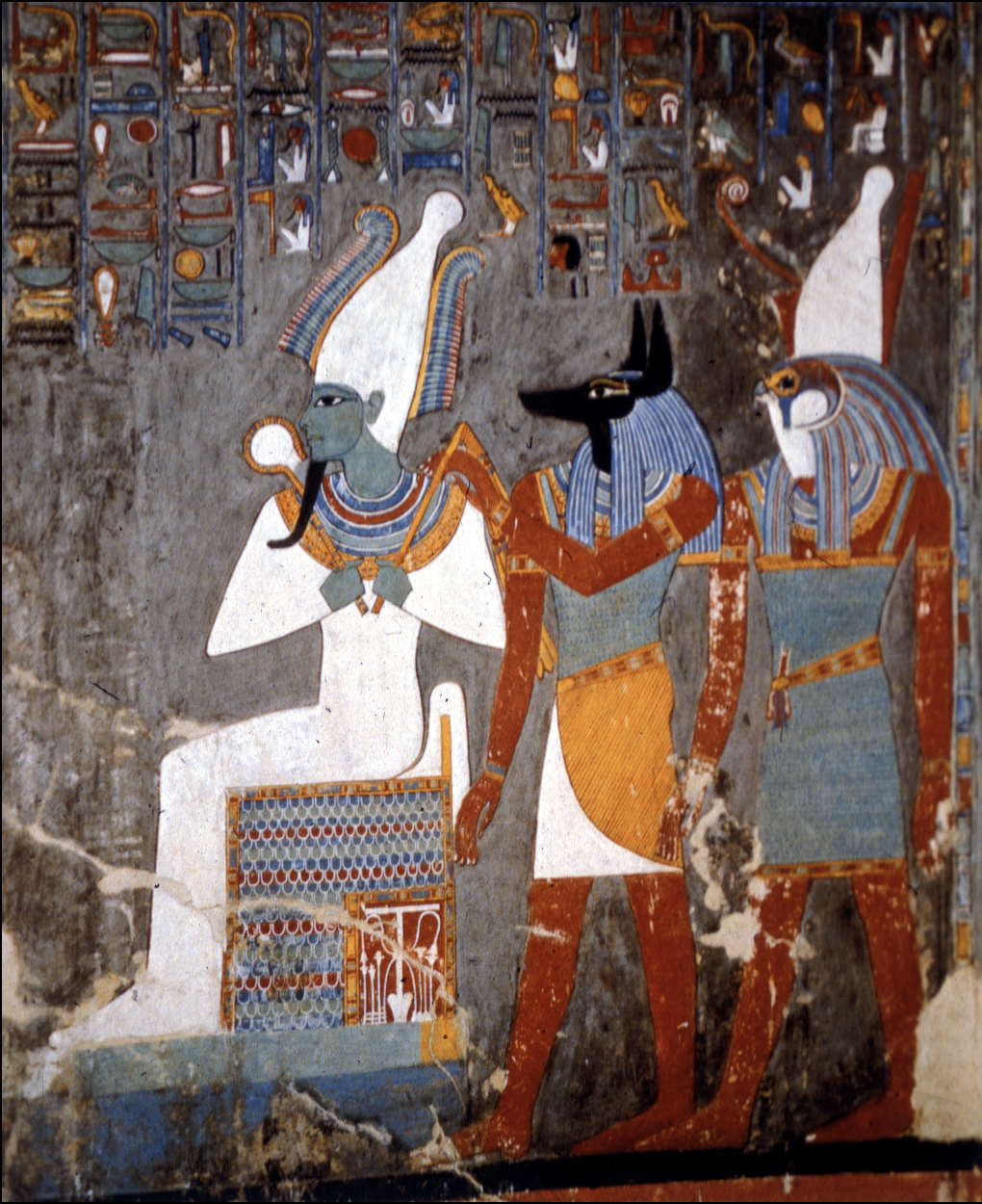 term image