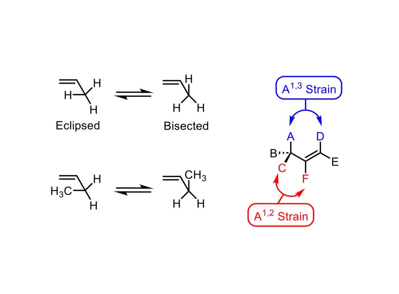 <p>Steric strain caused by the steric interaction between substituents on either end of a locked alkene system.</p>