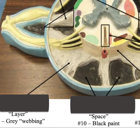 <p>Label layer</p>