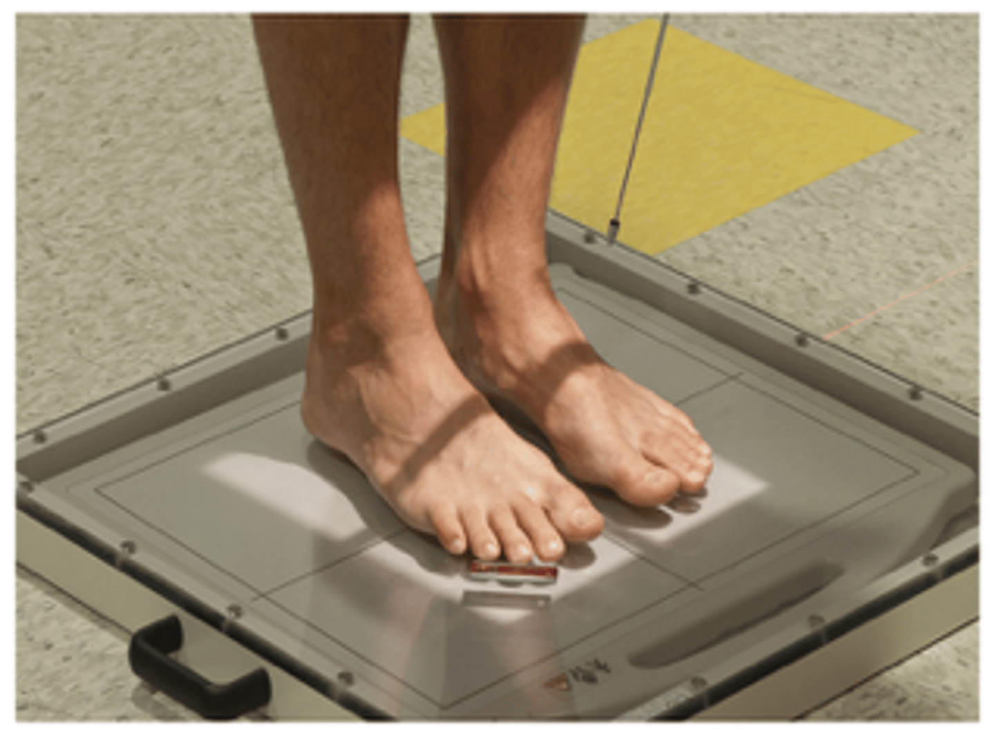 <p>What projection is this?</p>