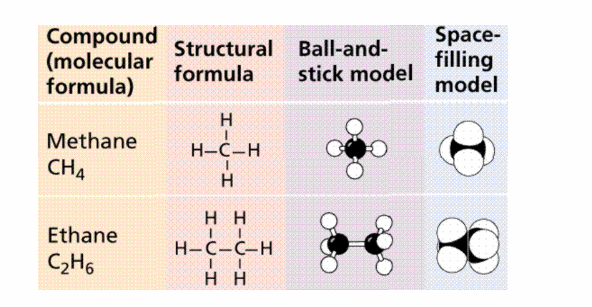 <p>– Shared electrons spend equal amounts of time around each nucleus</p><p>– Atoms with similar electronegativities</p><p>– No poles exist</p><p>– Carbon atoms critical to life; form four nonpolar covalent bonds with other atoms</p><p>• Organic compounds contain <strong>carbon and hydrogen atoms</strong></p>