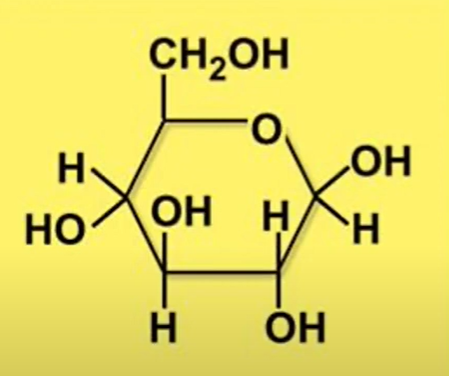 MONOSACCHARIDE