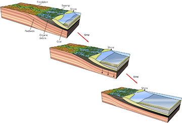 When the sea level rises (as illustrated here), the shoreline migrates inland, flooding the land and depositing coastal sediments over pre-existing terrestrial sediments. This process is called