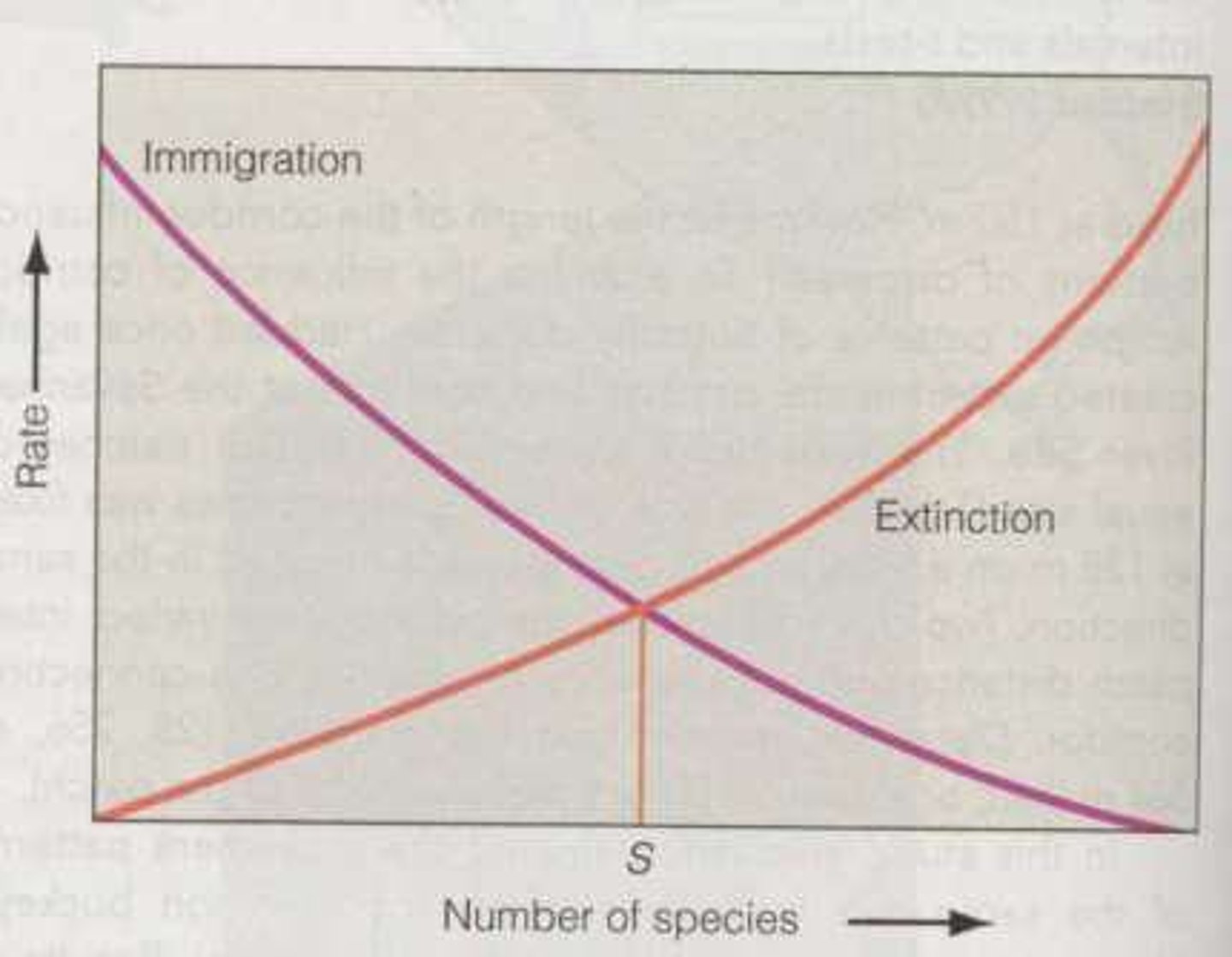 <p>A theory that explains species richness on islands as a balance between immigration and extinction rates.</p>