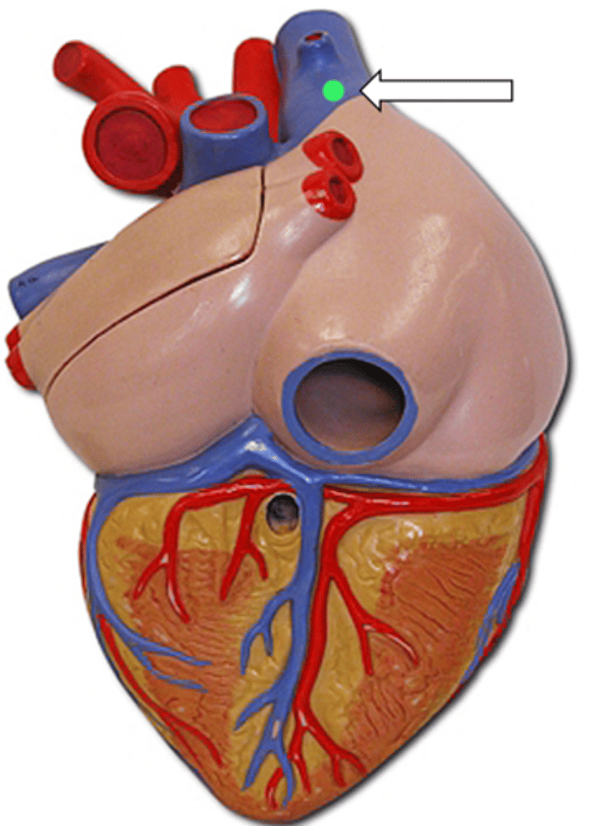 <p>name the structure</p>