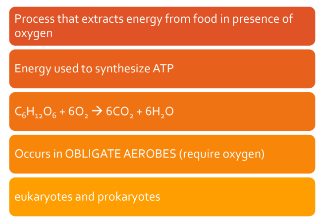 Aerobic Cellular Respiration