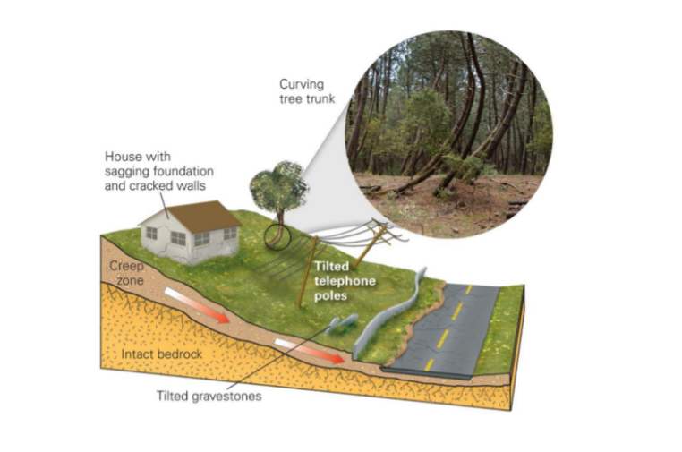 <ul><li><p>takes place in soil zone</p></li><li><p>movement caused by shear stress sufficient to produce permanent deformation</p></li><li><p>can be seen in areas that experiene constant alternation of wetting and drying periods</p></li><li><p>3 types</p><ul><li><p>seasonal - affected by seasonal changes in soil moisture/temperature</p></li><li><p>continuous - shear stress continuously exceeds strength of material</p></li><li><p>progressive - slopes are reaching the point of failure as other types of mass movements</p></li></ul></li></ul>